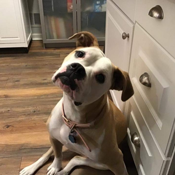 Meet your Posher, Becky - Picture 6 of 8